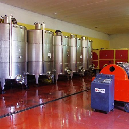 Cascina Bertolotto Wine Resort Spigno Monferrato Bagian luar foto