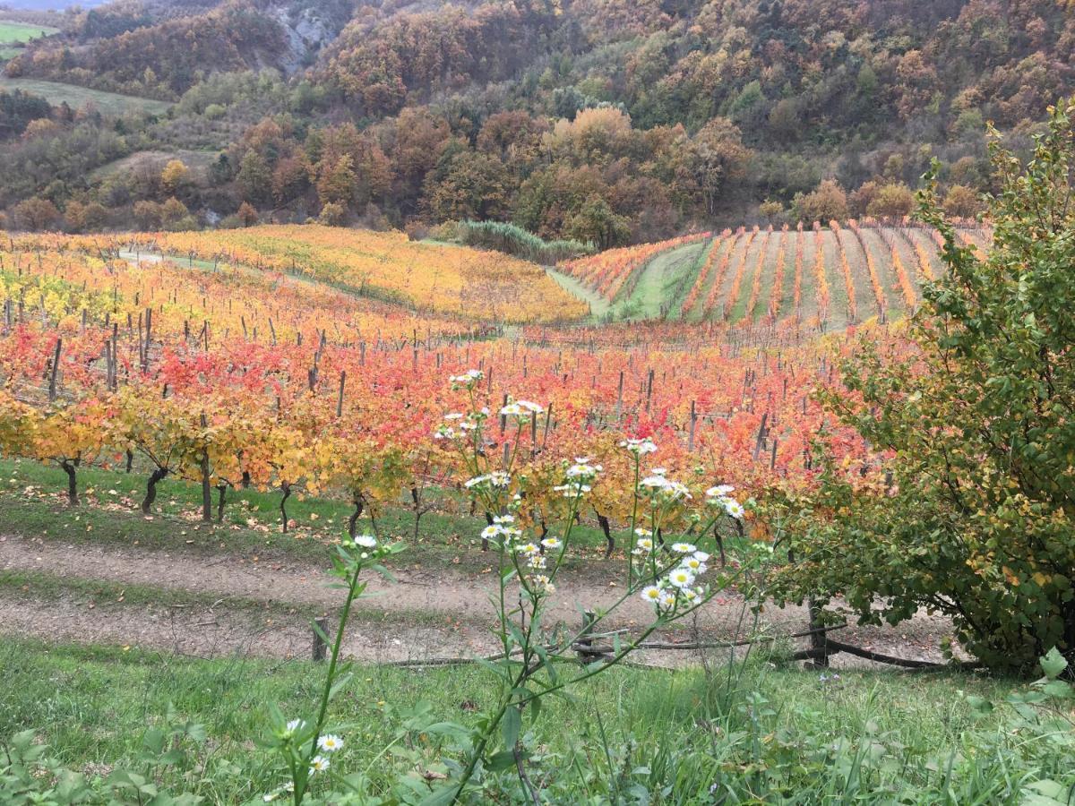 Cascina Bertolotto Wine Resort Spigno Monferrato Bagian luar foto