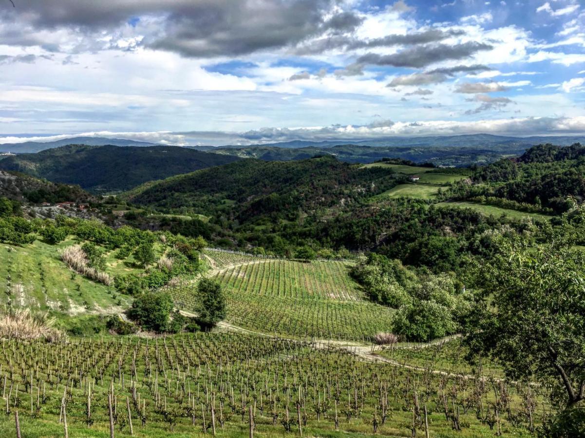 Cascina Bertolotto Wine Resort Spigno Monferrato Bagian luar foto
