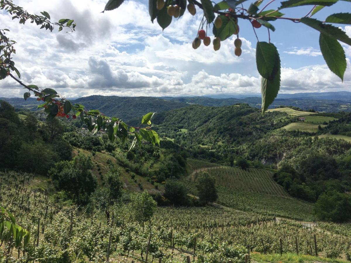 Cascina Bertolotto Wine Resort Spigno Monferrato Bagian luar foto