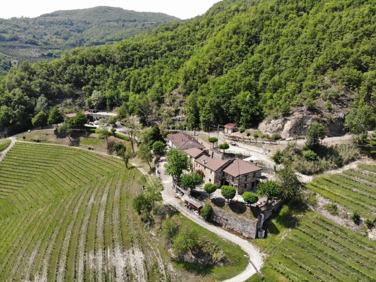 Cascina Bertolotto Wine Resort Spigno Monferrato Bagian luar foto