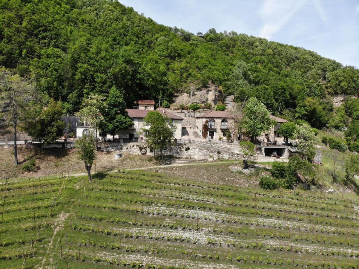 Cascina Bertolotto Wine Resort Spigno Monferrato Bagian luar foto