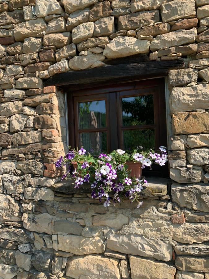 Cascina Bertolotto Wine Resort Spigno Monferrato Bagian luar foto