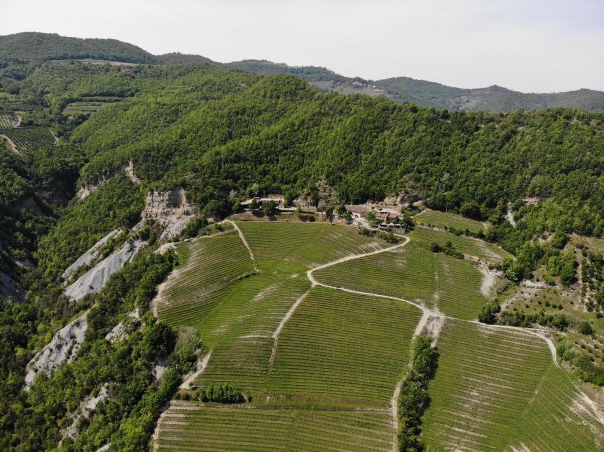 Cascina Bertolotto Wine Resort Spigno Monferrato Bagian luar foto