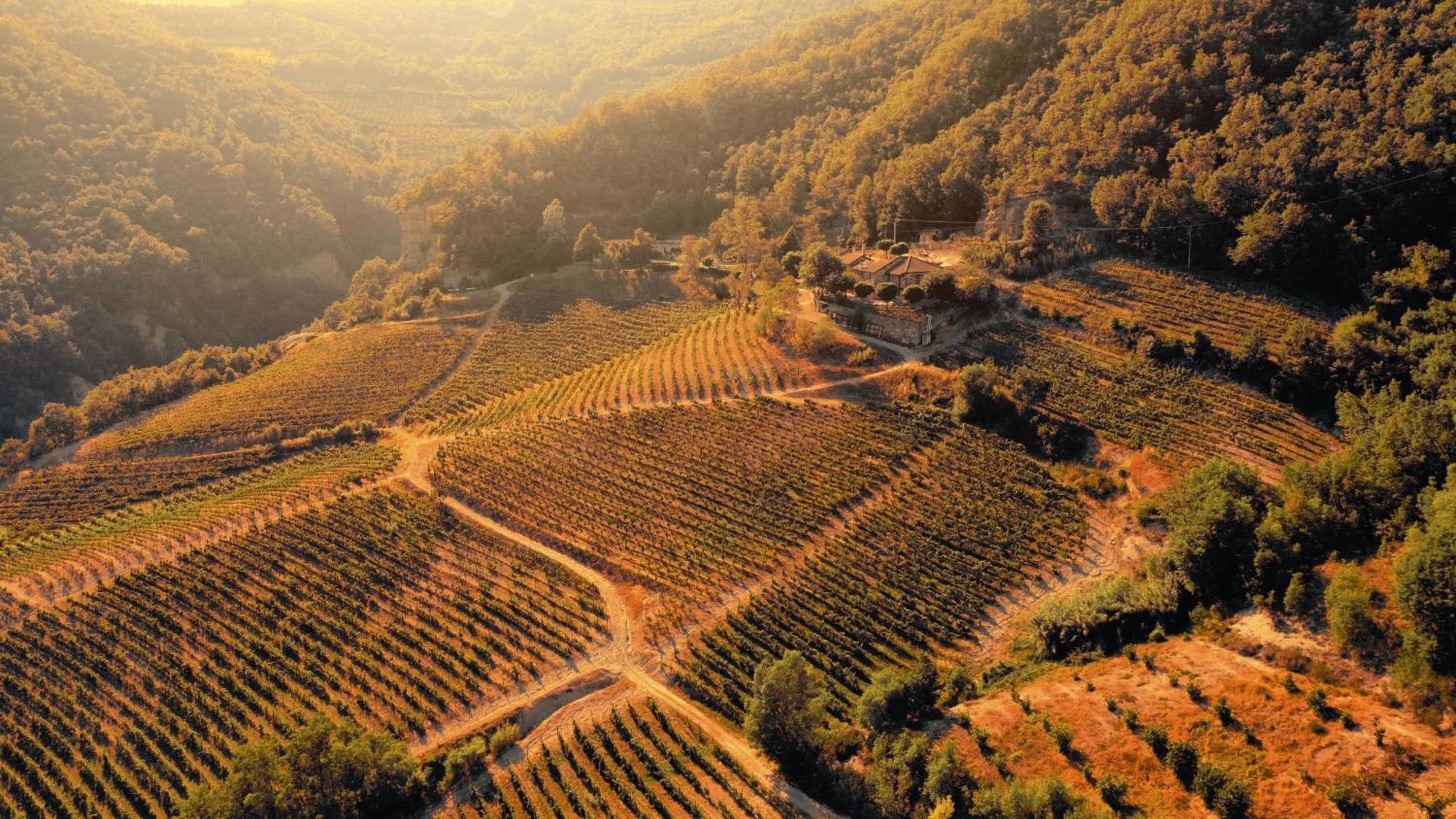 Cascina Bertolotto Wine Resort Spigno Monferrato Bagian luar foto